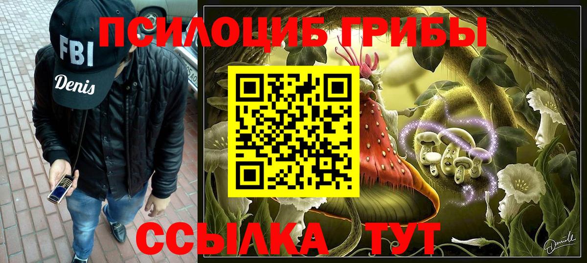 Киров  Галлюциногенные грибы GOLDEN TEACHER  Вход с VPN 